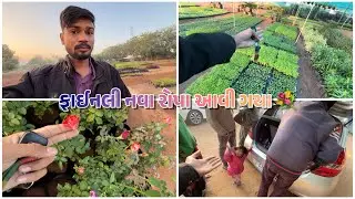 ફાઈનલી નવા રોપા આવી ગયા 🥀 || gujrativlog 
