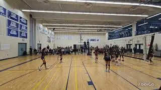 E381 Blue   Tigers Vortex Nov 23 2025