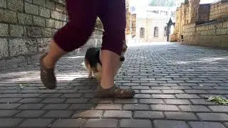 20170917 120957