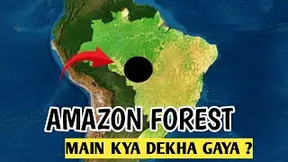 Amazon Jungle: 5 Unexplained Secrets Hidden in the Amazon Jungle
