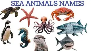 SEA ANIMALS NAMES IN ENGLISH l समुद्री जानवरों के नाम l KIDS LEARNING WITH VIDEO