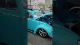 #vw #vwbug #vwbeetle #volkswagen  #vwscene #volkswagenbug #vwperformance #vwbuggy #germancars