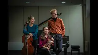 Brahms Piano Trio No. 1 in B Major, Op. 8: Allegro con brio