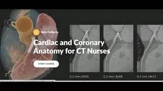 Cardiac and Coronary CT Course example