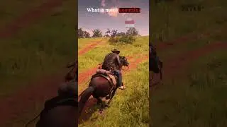 RDR2 - This beautiful connection to real world human achievements