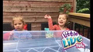 CUTE KIDS OPEN LITTLE LIVE PET TURTLES! Disney Princesses Elsa, Anna and Ariel stop by too!