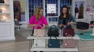 RADLEY London Liverpool Street Leather Medium Satchel Handbag on QVC