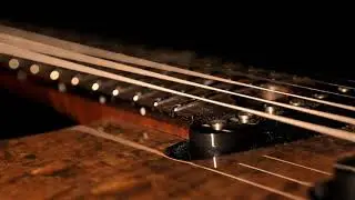 MOVGUITARS VIC 22 MODEL PICKUPS TRASITION DIMARZIO