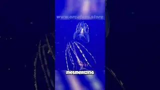 🤯 Glowing Jellyfish?! 🤯 Witness the Ocean's Bioluminescent Wonders!