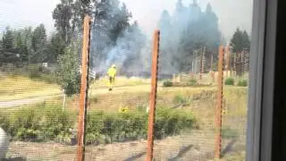 Taylor Bridge Fire at Chimpanzee Sanctuary Northwest