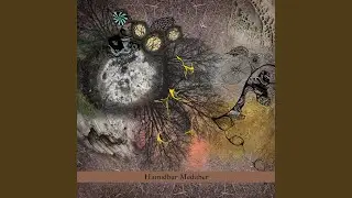 The Spirit Within