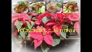 EP 7 ครัวน่านน้ำ...ปากช่อง