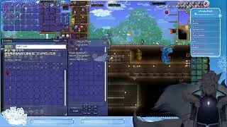 Post Moonlord Calamity! With captainsonia | Terraria - Part 8