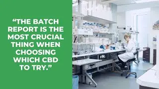How to Read a CBD Batch Report