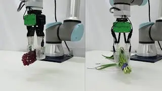 Grasping bunches of leek and grape with FingerVision