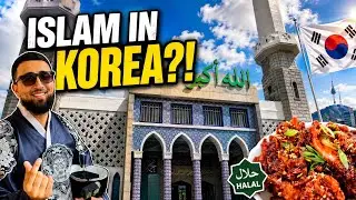 I Explored South Korea&rsquo;s Hidden Side &mdash; Halal Food, DMZ & Seoul Life
