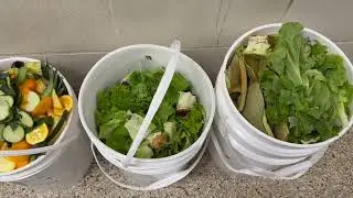 Sandburg Compost Training