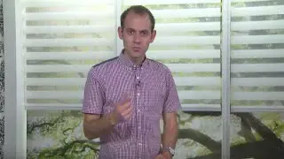 Mettez votre confiance dans le sang de Jésus - La pensée du jour - Michael Lebeau
