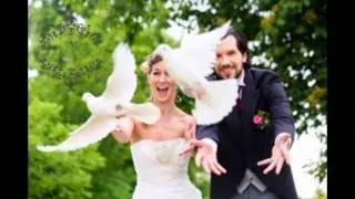 Pachete promotionale de porumbei albi pentru evenimente Constanta - 0762838354