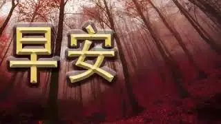 E时通 • 早安 •