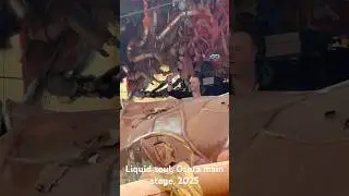 Liquid soul, Ozora main stage, 2025