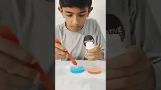 My new experiment on crystal science | science experiments | creative spot |