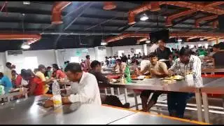 Free food for workers of L and T Company , Qatar