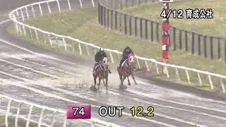 2023TrainingSale hip74