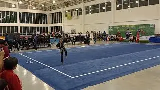 She Quan Wushu Kids Torneo Nacional Wushu Kung Fu M&eacute;xico