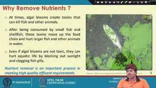 Lecture 44:Tertiary Treatment: Nutrients Removal