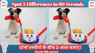 Spot 5 Differences in 60 Second😇!99% Fail!#Puzzle-104 With Answer!