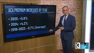 Insurance premiums rise to 15-year high