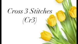 Enchanted Pathways: Cross 3 Stitches - CR3