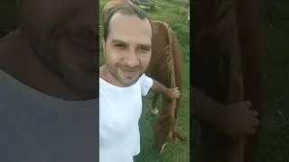 احذر! أخطر طرق النصب في البرازيل التي قد تقع فيها بسهولة!