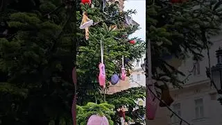 Le sapin de l&rsquo;Op&eacute;ra de Budapest🎄 #budapest #hungarianopera #budapesttravel #christmastree