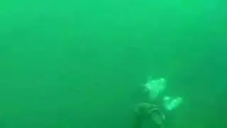 PSAI Extended Range Diving Germany