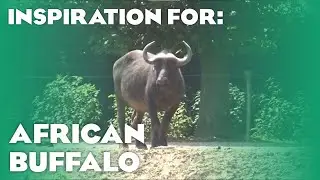 3 Real African Buffalo Habitats! (Planet Zoo Inspiration)
