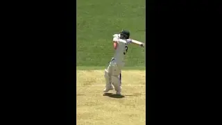 Mic'd up David Warner calls shot and nails it: 