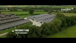 Ben Williams - poultry farm - drone footage by Matteo Creative Media