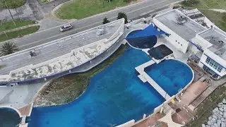 Judge puts brakes on sale of Marineland Dolphin Adventure, park still operational with live animals