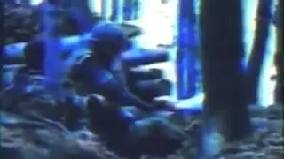ARBIH - ODRED EL-MUDŽAHID (DŽIHAD U BiH)