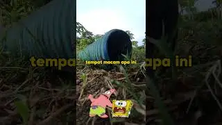 cacing besar alaska #fyp #viralshorts #trendingshorts #spongebob #patrick