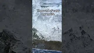 The sound of water means life #shorts #watersounds #usa