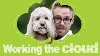 Interview with Seth Casteel, creator of 'Underwater Dogs'