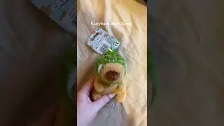 New bag charm🦖#obsessed #bagcharm #keyring #capybara #cute #unboxing #collection #love #adorable