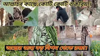 সবজি হারভেস্টিং করতে গিয়ে এ কি হলো! 😱 আল্লাহ বড় বিপদ থেকে বাঁচালেন।Rukhsana home journey. 