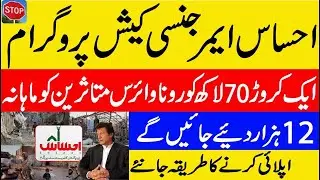 Insaf Imdad App | CM Punjab Rozgar Scheme 2020 | How to Register Insaf Imdad | Insaf Imdad Program