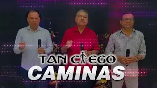 Tan ciego caminas - Los Hermanos Reyes (Video Liryc)