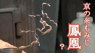 モミジらしくない曲げ方で松のような曲げ方だ