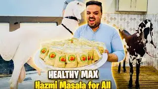 Hazma Masala Se Bakra, Dumba, Bachra Ki Growth Aur Milk Double Krain | Livestock | Dairy Farming